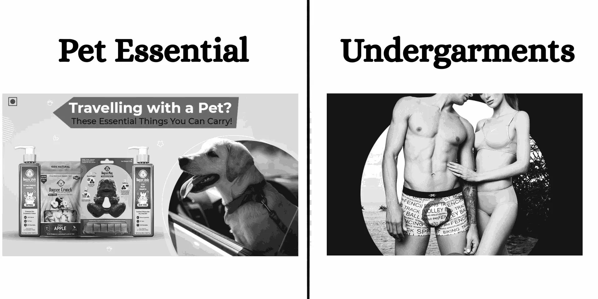 Image shows two categories side-by-side: 'Pet Essential' with a dog and pet care products for travel, and 'Undergarments' featuring a couple in intimate apparel. Highlights essentials for pets and humans