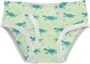 BOLAZ | Turtle Trek Brief Underwear for Boy's