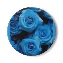Ceramic Coaster | Blue rose 