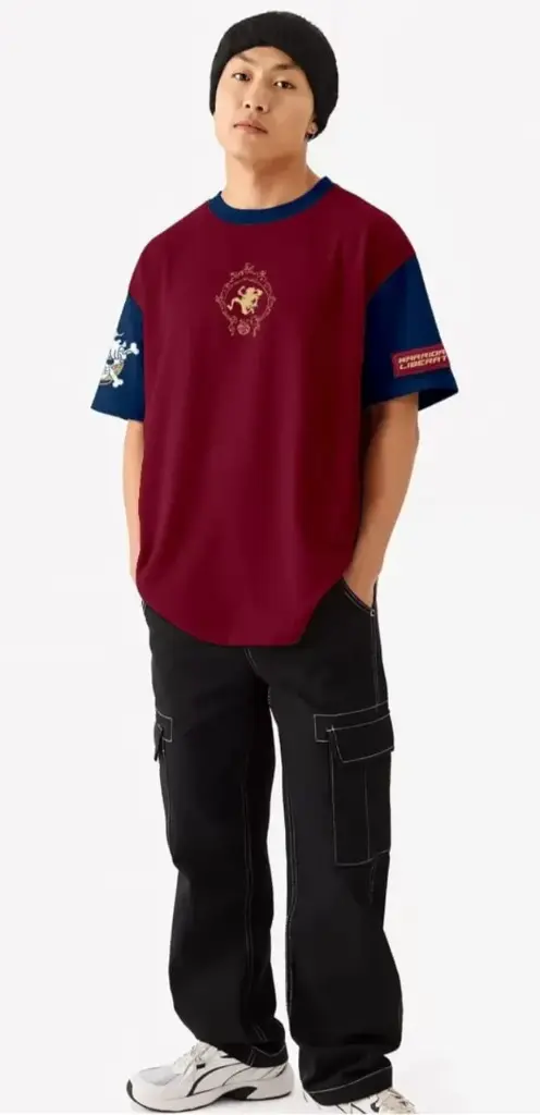 One Piece Fan T-Shirt
