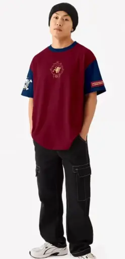 One Piece Fan T-Shirt